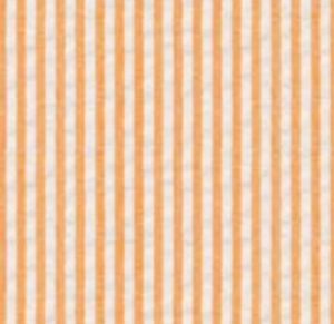 Playsuit - Tangerine Stripe (Pre-Order)